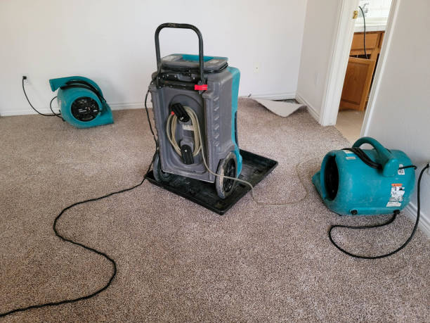Best Professional water damage repair  in Slater, MO