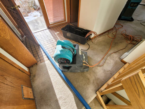 Best Ceiling water damage repair  in Slater, MO