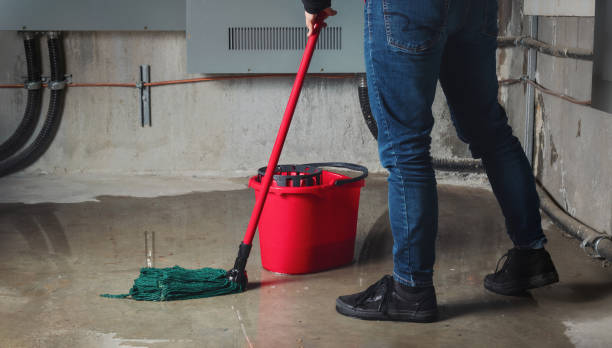 Best Mold removal after water damage  in Slater, MO