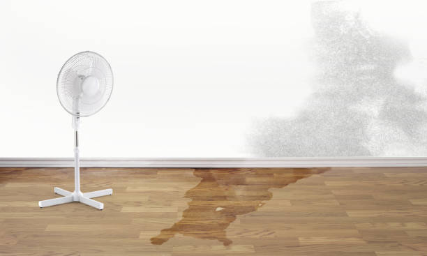 Best Flood damage cleanup  in Slater, MO