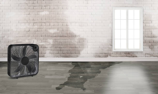Best Sewage cleanup and water damage restoration  in Slater, MO