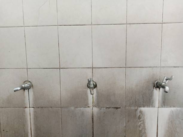Carpet water damage restoration in Slater, MO