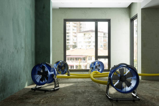Best Ceiling water damage repair  in Slater, MO